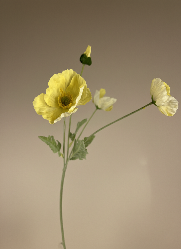 Premium faux yellow poppy artificial flower stem for modern home decor styling #yellow