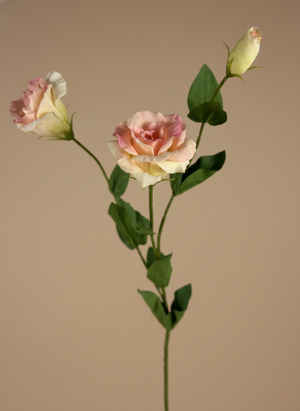 Realistic real touch blush pink artificial lisianthus flower stem with unopened buds #blush-pink