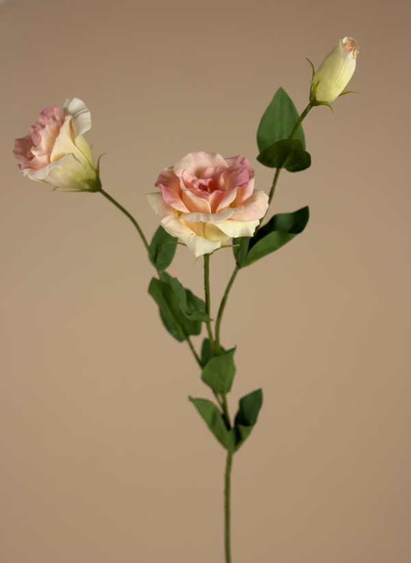 Realistic real touch blush pink artificial lisianthus flower stem with unopened buds #blush-pink