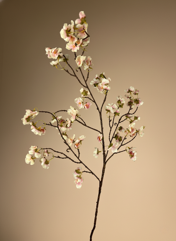 Delicate blush pink cherry blossom branch with small silk flowers against a soft neutral tan background #blush-pink