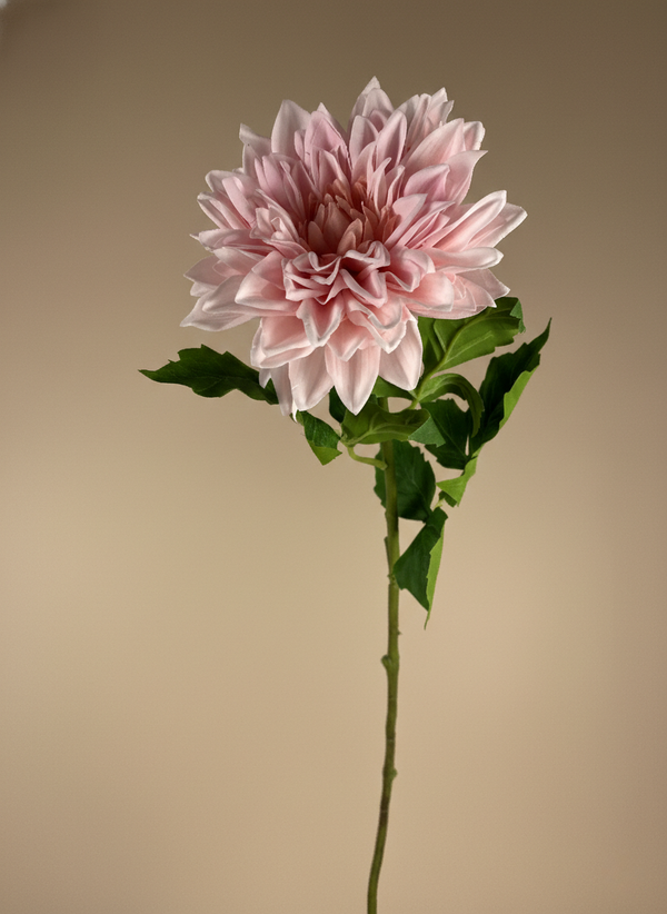 Artificial pink dahlia flower stem with detailed petals and natural green leaves #pink