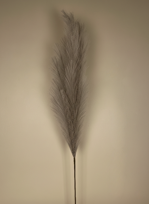 Dried faux brown pampas grass against a beige wall #light-brown 
