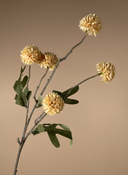 Peach coloured real touch faux pompom flower stem with softly textured blooms on a neutral background #pale-peach