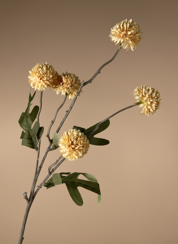 Peach coloured real touch faux pompom flower stem with softly textured blooms on a neutral background #pale-peach