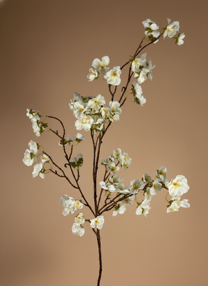Delicate white cherry blossom branch with small silk flowers against a soft neutral tan background #white