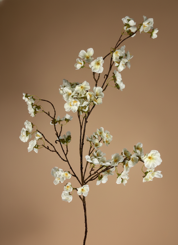 Delicate white cherry blossom branch with small silk flowers against a soft neutral tan background #white