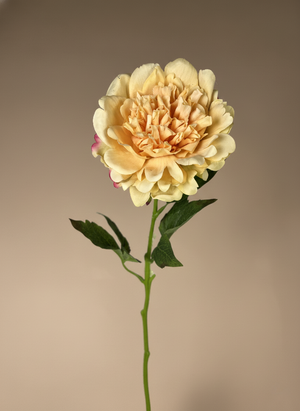 Elegant yellow real touch peony artificial flower stem with lifelike detail #yellow