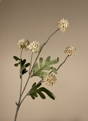 Beige real touch faux pompom flower stem with delicate textured blooms and natural foliage on a neutral background #beige