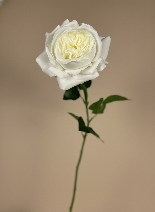 Premium single real touch faux white rose stem with layered petals and natural green leaves on a neutral background #white