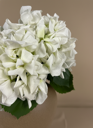 Close-up of white faux hydrangea blooms with realistic textured petals #white