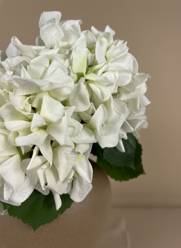 Close-up of white faux hydrangea blooms with realistic textured petals #white