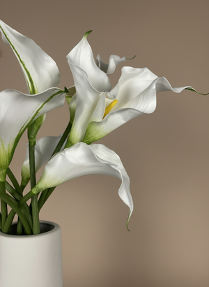 Artificial white calla lily flowers in a white vase, modern minimalist home décor #white