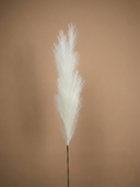 Single high-quality faux cream pampas grass plant against a beige background #cream
