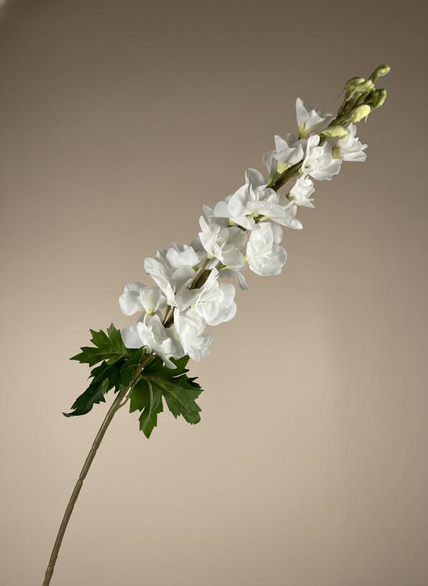 Single faux white delphinium stem with soft blush petals against a neutral background #white