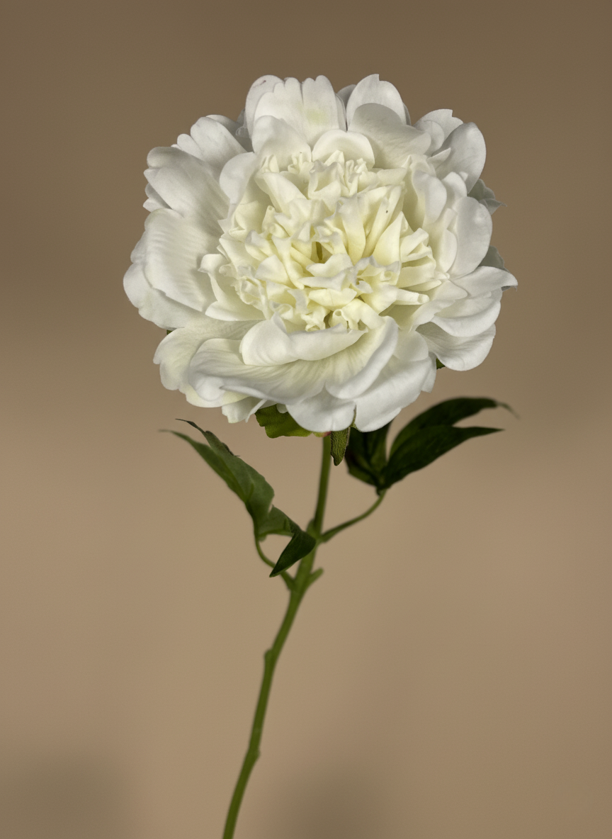 Realistic faux white peonies in contemporary ceramic vase for home styling #white