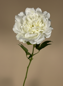 Elegant white real touch peony artificial flower stem with lifelike detail #white