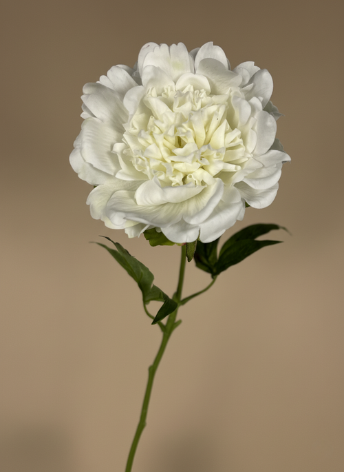 Elegant white real touch peony artificial flower stem with lifelike detail #white