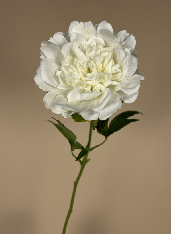 Elegant white real touch peony artificial flower stem with lifelike detail #white