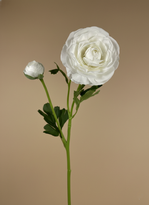 Single white faux ranunculus stem with layered petals and green leaves on a neutral beige background #white 
