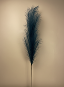 Single high-quality teal pampas grass plant against a beige background #deep-teal