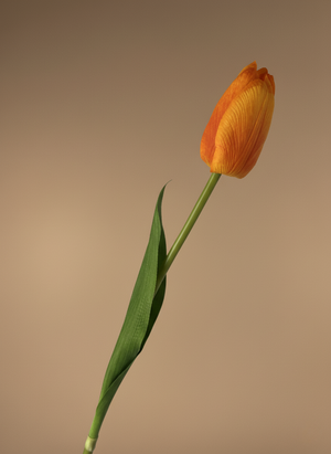 Single real touch orange faux tulip stem with lifelike petals and natural green leaf on beige background #apricot-orange