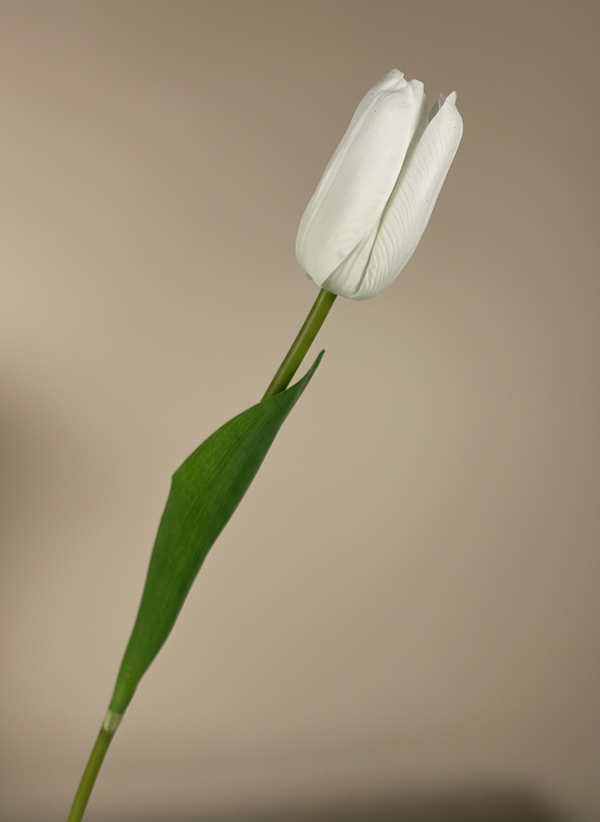 Single real touch white faux tulip stem with lifelike petal texture and natural green leaf on beige background #white