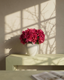 White vase with pink hydrangea flowers on a surface with sunlight casting shadows. #fuchsia-pink
