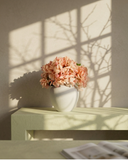 Pink hydrangea flowers in a white vase on a light surface with shadows from branches on the wall. #peachy-pink