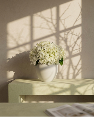 White hydrangea flowers in a vase on a surface with shadows cast by branches. #white