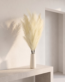 Luxury cream faux pampas grass bouquet in a minimalist white ceramic vase on a concrete table #cream