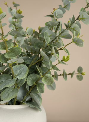 Close up of real touch faux eucalyptus leaves with soft green tones styled in a matte ceramic vase on a neutral background 