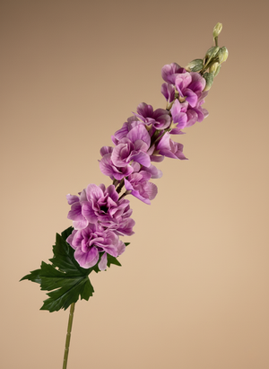 Single faux lavender pink delphinium stem with soft blush petals against a neutral background #lavender-pink