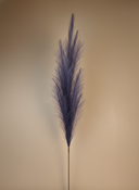 Single premium violet pampas grass plant against a beige background #deep-violet