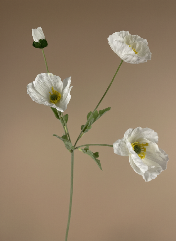 Premium faux white poppy artificial flower stem for modern home decor styling  #white 