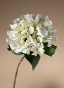 Realistic real touch white artificial hydrangea flower stem against neutral background #white