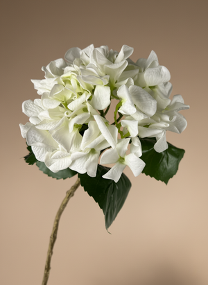 Realistic real touch white artificial hydrangea flower stem against neutral background #white