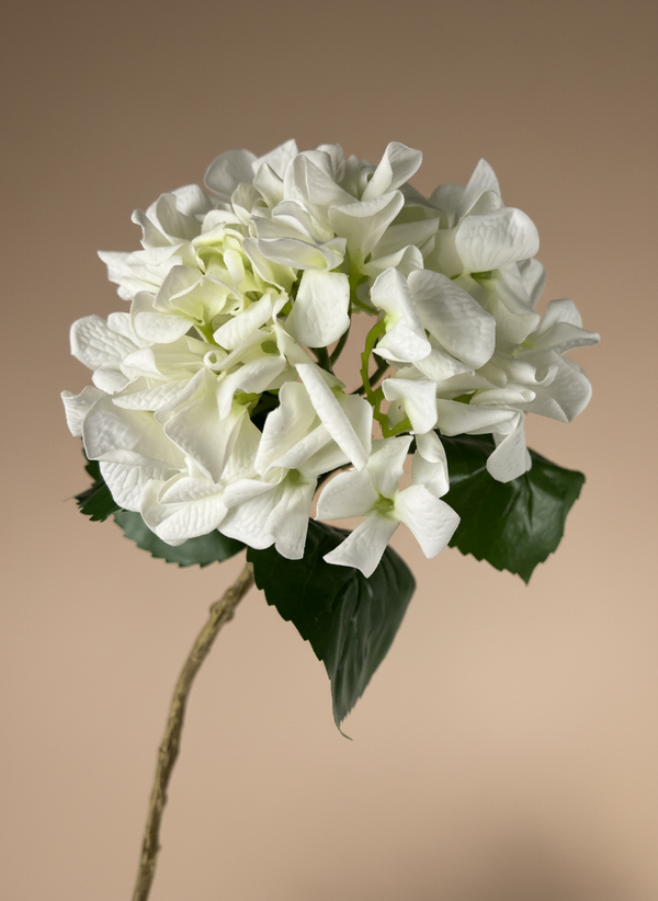 Realistic real touch white artificial hydrangea flower stem against neutral background #white