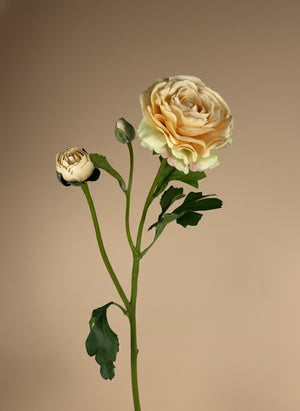 Single peach coloured faux ranunculus stem with layered petals and green leaves on a neutral beige background #soft-peach 