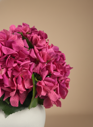 Close-up of fuchsia pink faux hydrangea blooms with realistic textured petals #fuchsia-pink