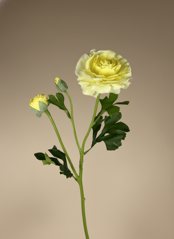 Single yellow faux ranunculus stem with layered petals and green leaves on a neutral beige background #yellow
