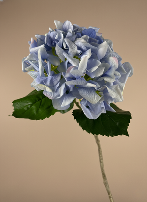 Realistic real touch blue artificial hydrangea flower stem against neutral background #periwinkle-blue