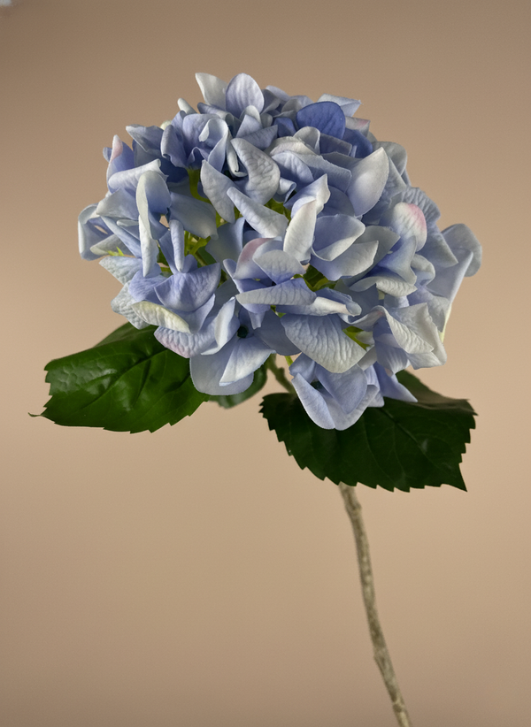 Realistic real touch blue artificial hydrangea flower stem against neutral background #periwinkle-blue