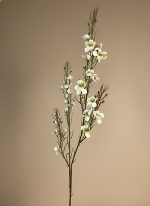 Realistic real touch white faux wax flower stem with delicate blooms for modern home decor #white