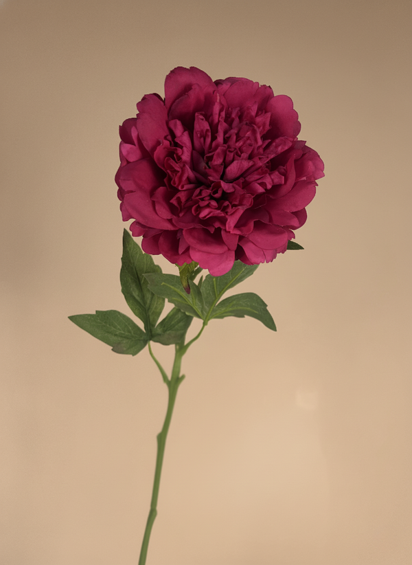 Elegant fuchsia pink real touch peony artificial flower stem with lifelike detail #fuchsia-pink