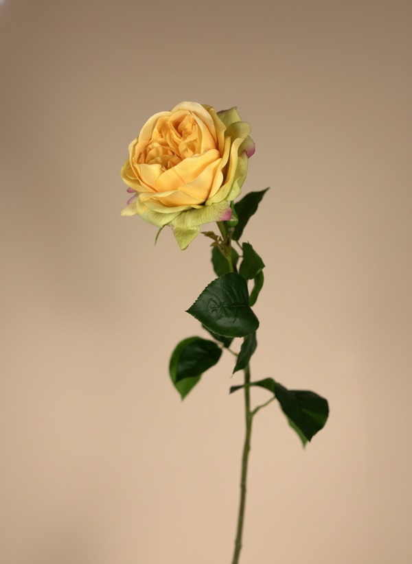 Premium single orange faux rose stem with layered petals and natural green leaves on a neutral background #apricot-orange